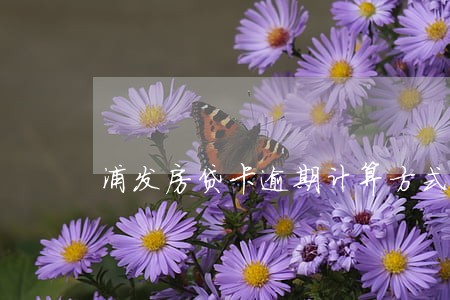 浦发房贷卡逾期计算方式 浦发房贷卡逾期计算方式