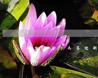 浦发房贷多久算逾期 浦发房贷多久算逾期