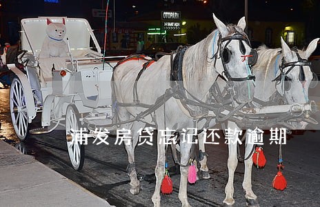浦发房贷忘记还款逾期