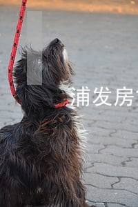 浦发房贷贷款逾期记录