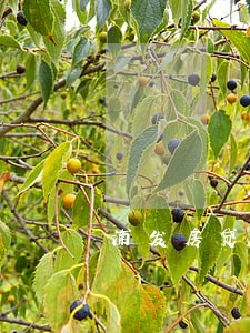 浦发房贷超过几天算逾期 浦发房贷超过几天算逾期