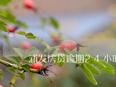 浦发房贷逾期24小时