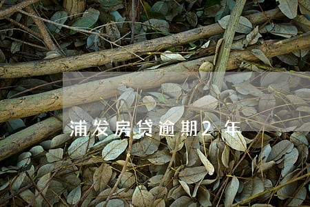 浦发房贷逾期2年 浦发房贷逾期2年