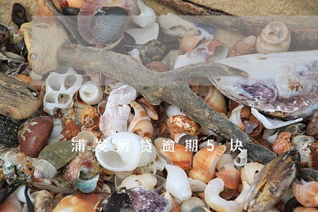 浦发房贷逾期5块 浦发房贷逾期5块