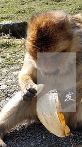 浦发房贷逾期一个小时 浦发房贷逾期一个小时