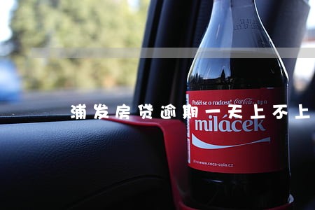 浦发房贷逾期一天上不上征信 浦发房贷逾期一天上不上征信