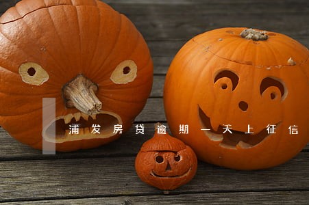 浦发房贷逾期一天上征信 浦发房贷逾期一天上征信