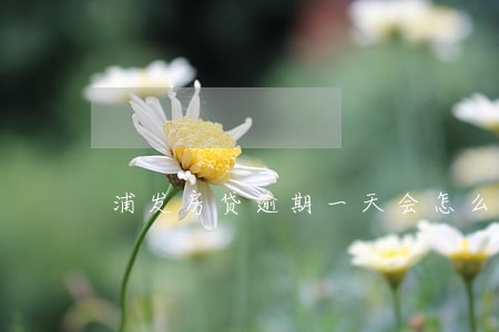 浦发房贷逾期一天会怎么样 浦发房贷逾期一天会怎么样