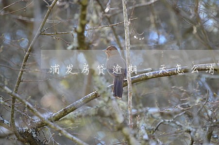 浦发房贷逾期一天怎么消除 浦发房贷逾期一天怎么消除