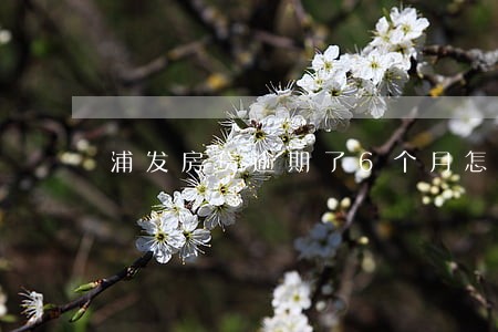 浦发房贷逾期了6个月怎么办 浦发房贷逾期了6个月怎么办