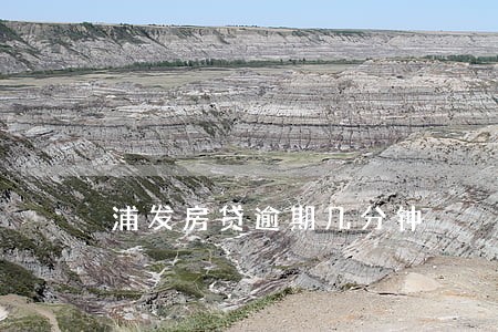浦发房贷逾期几分钟 浦发房贷逾期几分钟