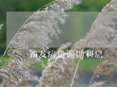 浦发房贷逾期利息 浦发房贷逾期利息