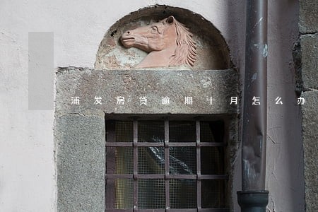 浦发房贷逾期十月怎么办 浦发房贷逾期十月怎么办