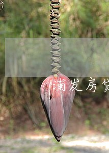 浦发房贷逾期十月怎么办上海 浦发房贷逾期十月怎么办上海