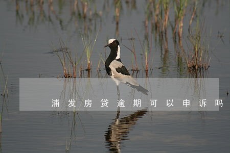 浦发房贷逾期可以申诉吗 浦发房贷逾期可以申诉吗