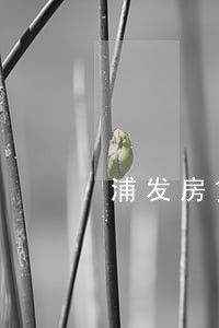 浦发房贷逾期后果 浦发房贷逾期后果