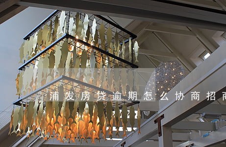 浦发房贷逾期怎么协商招商 浦发房贷逾期怎么协商招商