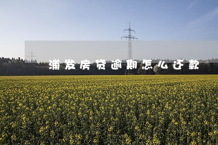 浦发房贷逾期怎么还款 浦发房贷逾期怎么还款