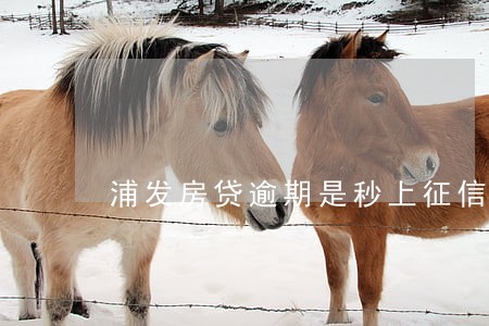 浦发房贷逾期是秒上征信么 浦发房贷逾期是秒上征信么