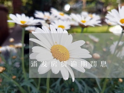 浦发房贷逾期罚息 浦发房贷逾期罚息