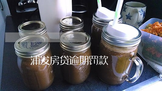 浦发房贷逾期罚款 浦发房贷逾期罚款