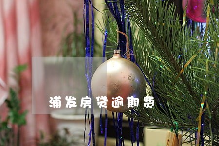 浦发房贷逾期费