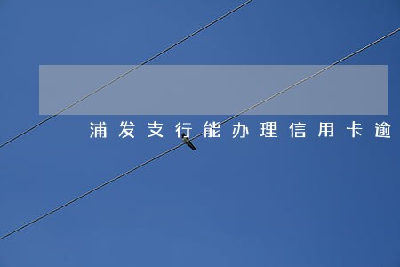 浦发支行能办理信用卡逾期吗 浦发支行能办理信用卡逾期吗
