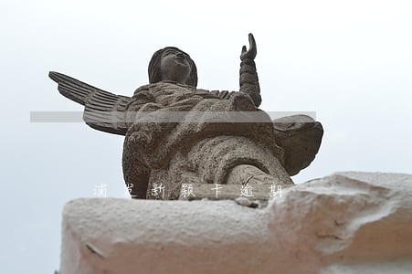 浦发新颖卡逾期