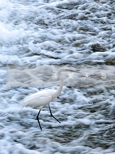 浦发无恶意逾期模板 浦发无恶意逾期模板