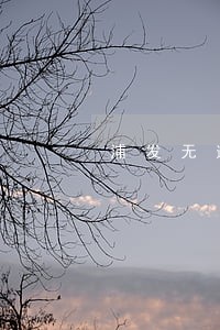 浦发无逾期案件 浦发无逾期案件