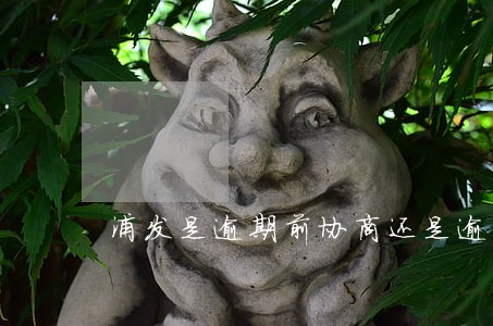 浦发是逾期前协商还是逾期后招商 浦发是逾期前协商还是逾期后招商