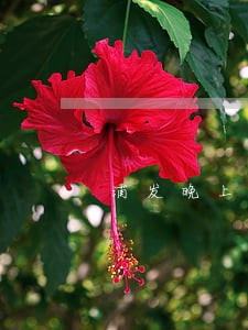 浦发晚上几点算逾期 浦发晚上几点算逾期