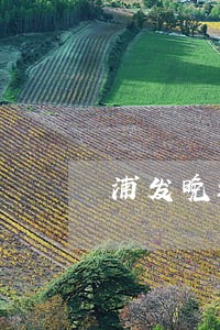 浦发晚还一天算逾期吗 浦发晚还一天算逾期吗
