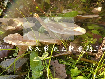浦发最低还款逾期三天 浦发最低还款逾期三天