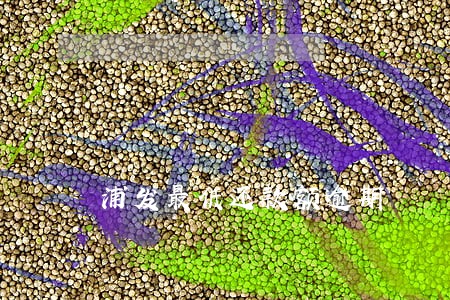 浦发最低还款额逾期 浦发最低还款额逾期