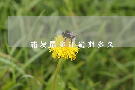 浦发最多让逾期多久 浦发最多让逾期多久