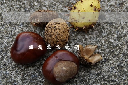 浦发最长逾期 浦发最长逾期