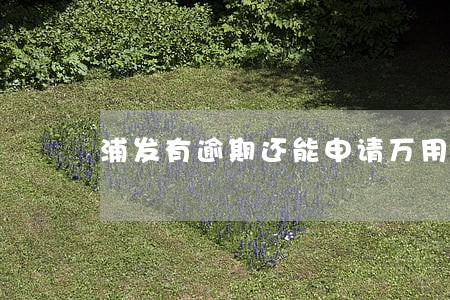 浦发有逾期还能申请万用金吗