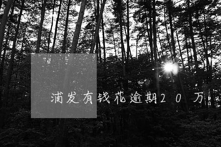 浦发有钱花逾期20万 浦发有钱花逾期20万