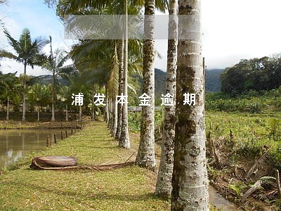 浦发本金逾期 浦发本金逾期