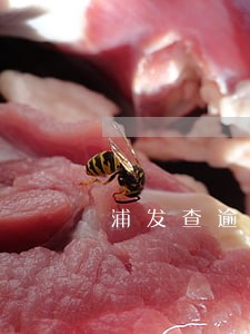 浦发查逾期 浦发查逾期