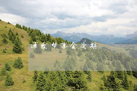 浦发梦享金逾期