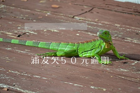 浦发欠50元逾期 浦发欠50元逾期