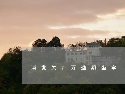浦发欠7万逾期坐牢