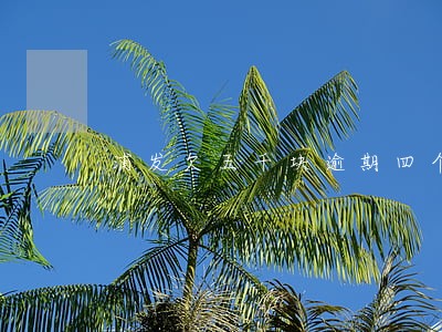 浦发欠五千块逾期四个月