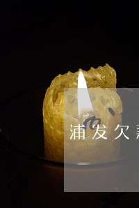浦发欠款8万多逾期4个月 浦发欠款8万多逾期4个月