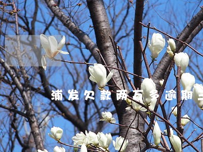 浦发欠款两万多逾期三个月 浦发欠款两万多逾期三个月