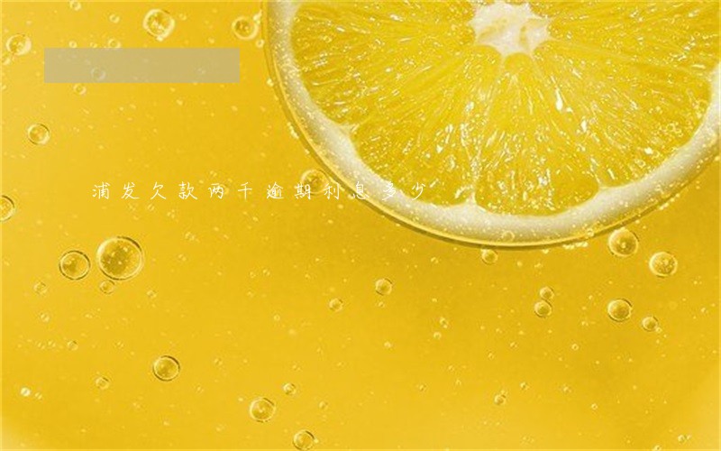 浦发欠款两千逾期利息多少 浦发欠款两千逾期利息多少