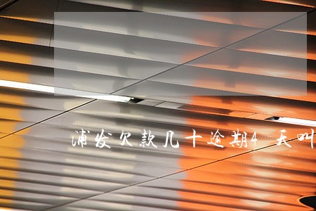 浦发欠款几十逾期4天叫全额还款