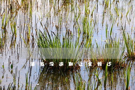 浦发没逾期让全额还 浦发没逾期让全额还